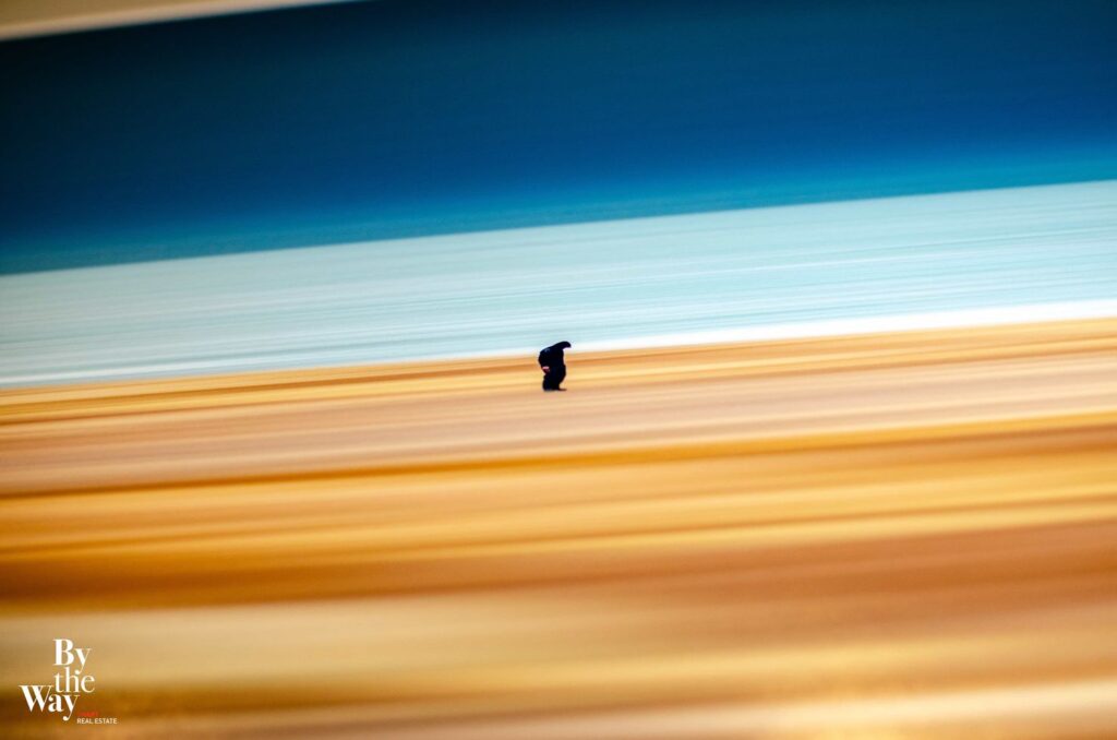 85. By the Way-Vernissage-Henri Weyrich-the sea of tranquility