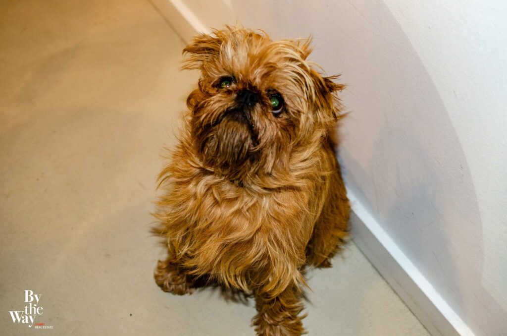 93. By the Way-Vernissage-Henri Weyrich-the sea of tranquility