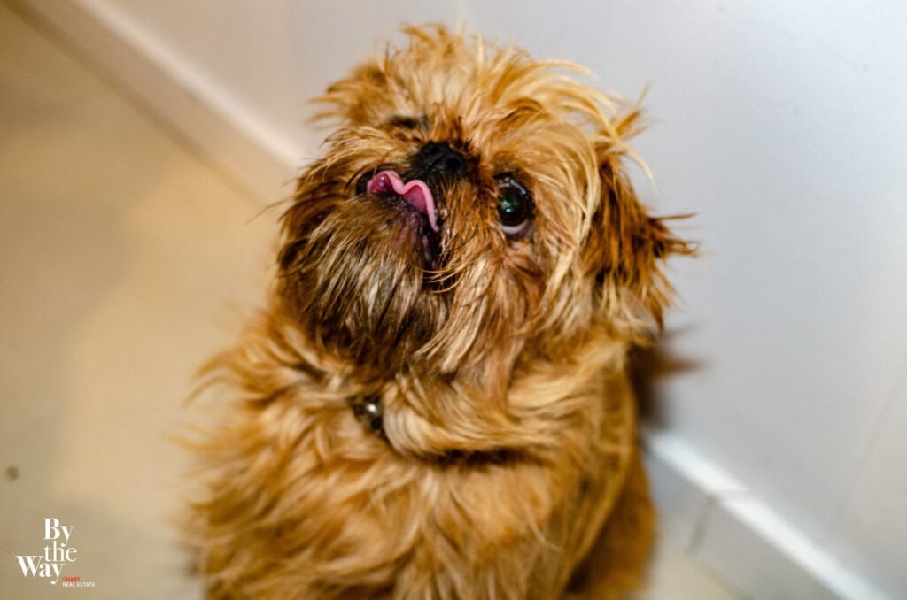 94. By the Way-Vernissage-Henri Weyrich-the sea of tranquility